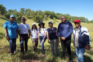 Voluntarios del Popular siembran 4,300 árboles en el Plan Sierra