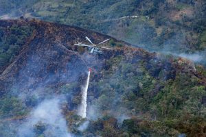 PERU: Incendios dejan 20 muertos y miles de hectáreas arrasadas