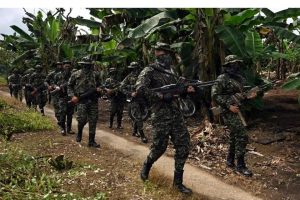 COLOMBIA: Presidente ordena bombardeos contra las FARC