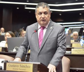 PLD considera «ilegítima» la reforma constitucional