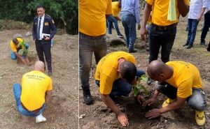 Utilizan presos en labores de reforestación cuenca río Nizao