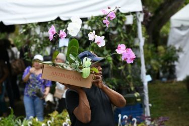 Jardín Botánico celebrará el Festival de Plantas y Flores