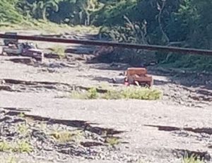 SAN CRISTOBAL: Depredan río Nigua en distrito Hato Damas