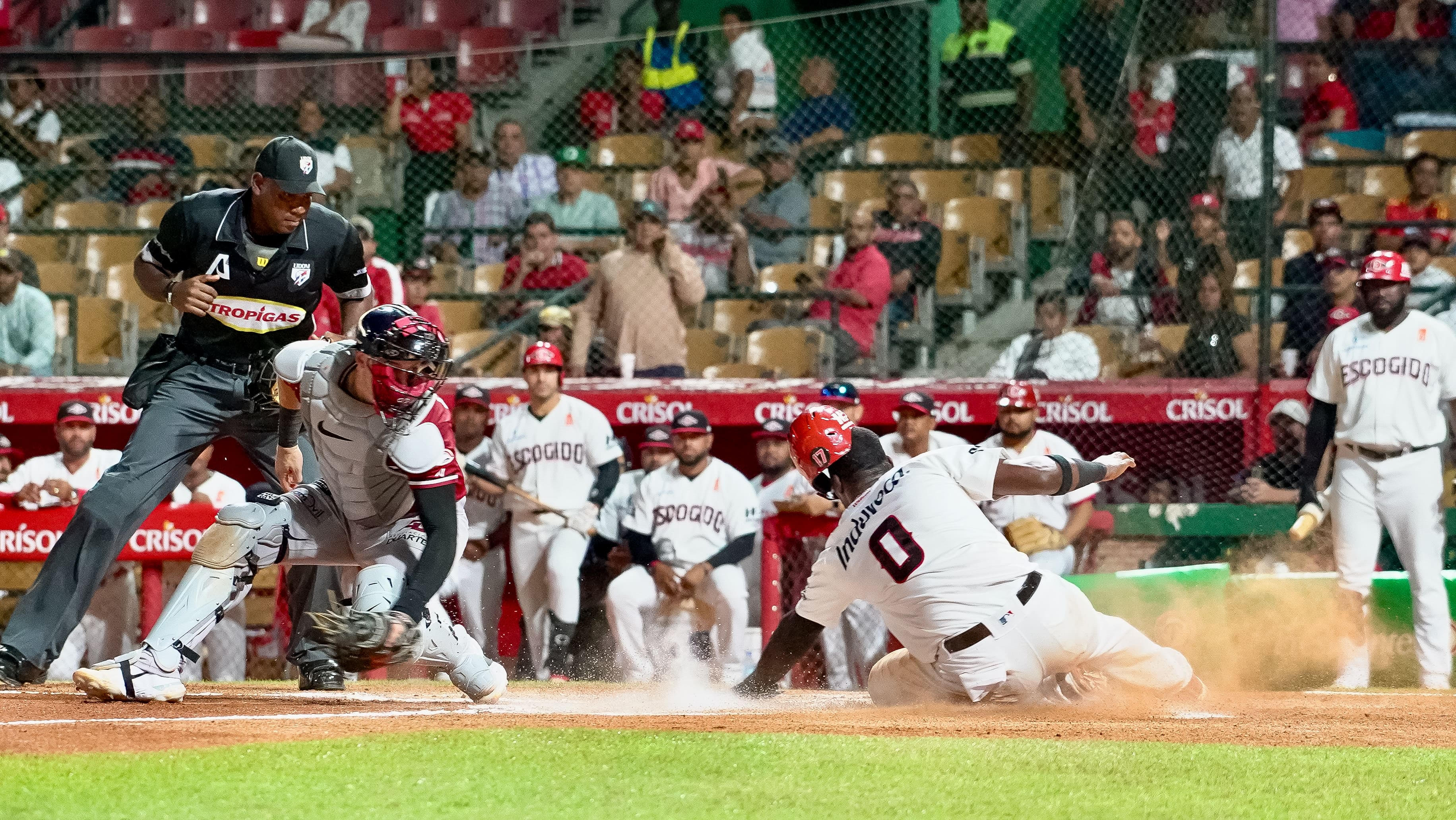 Leones, Licey y Aguilas vuelven a ganar en el beisbol dominicano imagen