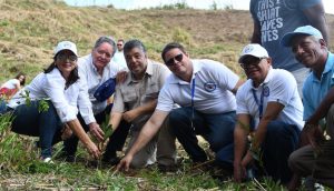 Instituciones RD se unen para reforestar importante cordillera