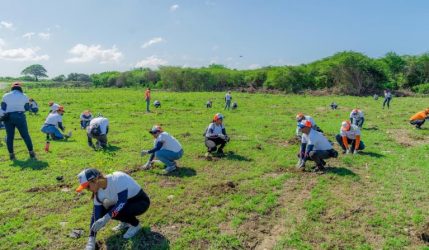 Edesur siembra 2,000 plantas en zona en Yaguate, San Cristóbal