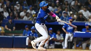 Águilas y Estrellas brillan en el campeonato béisbol dominicano