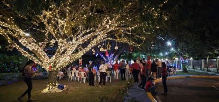 Gremios de la Comunicación alumbran Árbol de la Navidad