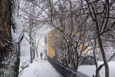 EEUU: Nueva York se prepara para nevadas por «efecto lago»