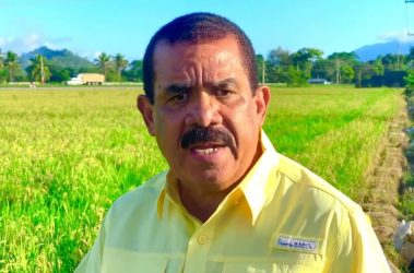 Roa acusa funcionarios de la escasez de carne pollo en RD