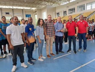 Zona Metropolitana y La Vega jugarán final superior balonmano