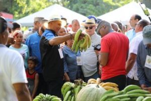 Frente Agropecuario del PRM hace tradicional Feria Navideña