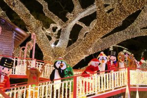 Citas navideñas en municipios de Santiago de los Caballeros