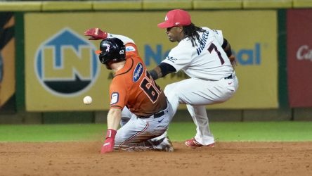 Toros, Gigantes y Aguilas ganan en beisbol profesional de la RD