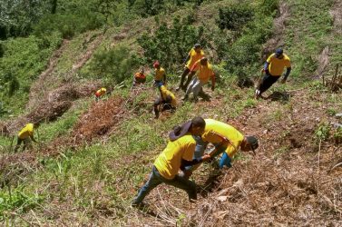 Privados de libertad plantaron más de tres mil árboles este año