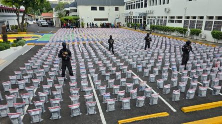 Mantienen investigación sobre alijo de 9,8 toneladas de cocaína Mantienen investigación sobre alijo de 9,8 toneladas de cocaína