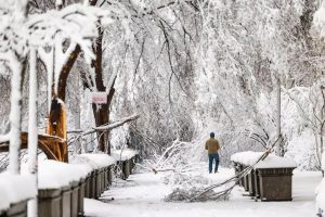 Noreste de EEUU bajo aviso de fuertes nevadas y frío ártico