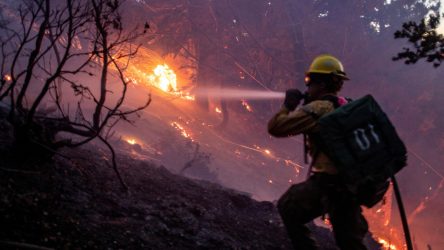 EEUU: Ascienden a 16 muertos por incendios en Los Angeles