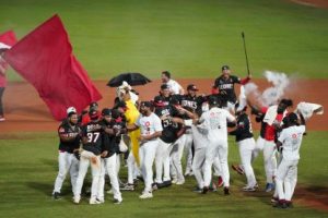 Leones y Tigres disputarán final de Liga Dominicana de Béisbol