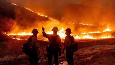 Aumentan a 24 muertos por los incendios forestales en EEUU