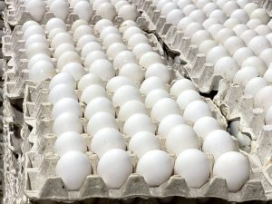 Dicen Rep. Dominicana produce 350 millones de huevos al mes