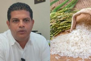 Productores de arroz dicen hay estabilidad en precios del cereal