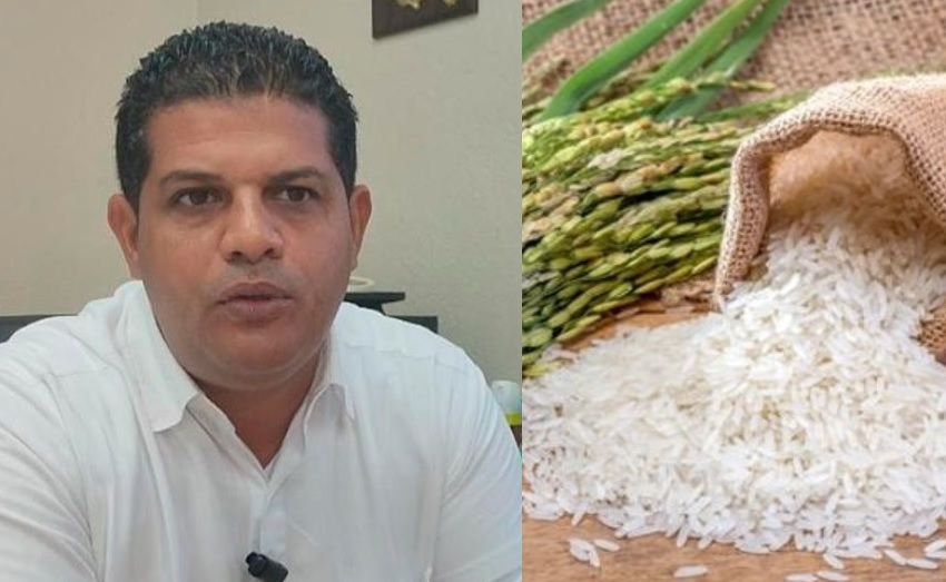 Productores de arroz dicen hay estabilidad en precios del cereal imagen