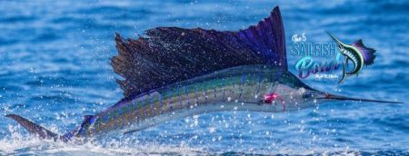 Casa de Campo anuncia Torneo de Pesca Sailfish Bowl Fishing