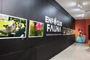 Museo de Historia Natural anuncia concurso fotográfico