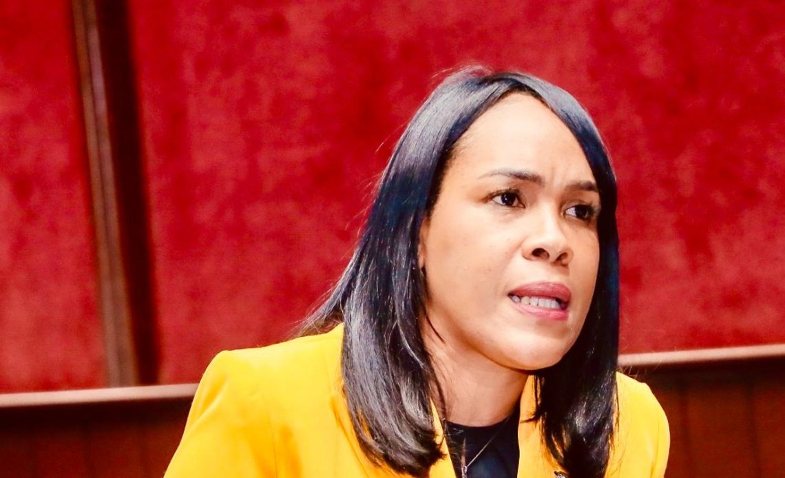Diputada propone llevar 8 años antigüedad vehículos diáspora imagen