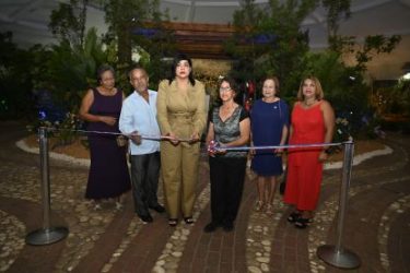 Exposición de Orquídeas hasta el domingo en Jardín Botánico