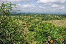 Haití por restaurar ecosistemas forestales degradados