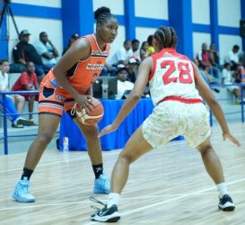 Mauricio Báez eleva invicto en basket superior femenino DN