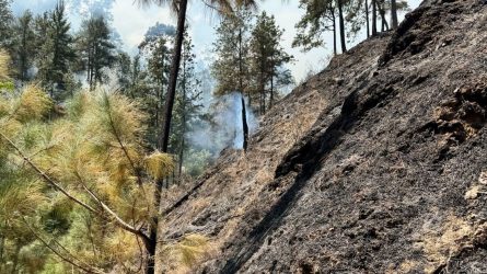 Bomberos forestales controlan fuego en San José de Ocoa