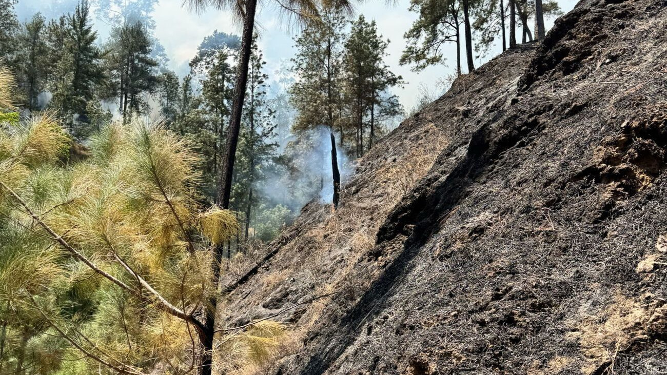 Bomberos forestales controlan fuego en San José de Ocoa | AlMomento.net