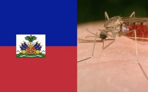 Violencia frena lucha contra la malaria en Haití Violencia frena lucha contra la malaria en Haití