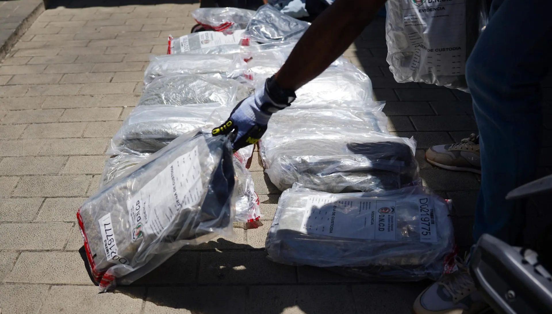 28 paquetes hierba fueron confiscados en puerto de Haina | AlMomento.net 28 paquetes hierba fueron confiscados en puerto de Haina | AlMomento.net