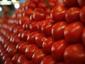 México asegura el jitomate «seguirá exportándose a EEUU