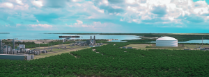 Consorcio energético destruye sector apícola Manzanillo