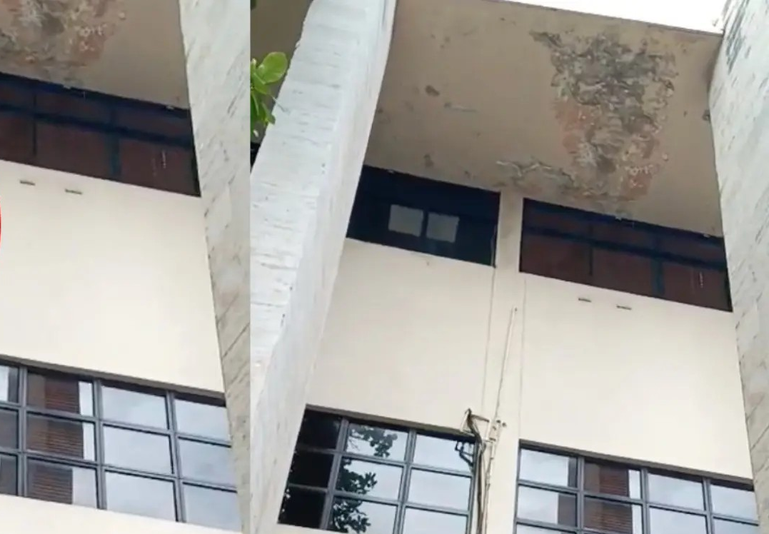 Advierten «peligro inminente» de colapso antiguo edificio SCJ | AlMomento.net