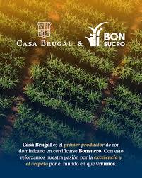 Certifica Bonsucro Casa Brugal primer productor de ron de RD Certifica Bonsucro Casa Brugal primer productor de ron de RD