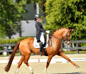 Jinete Stephanie Engstrom triunfa en Grand Prix de Ocala