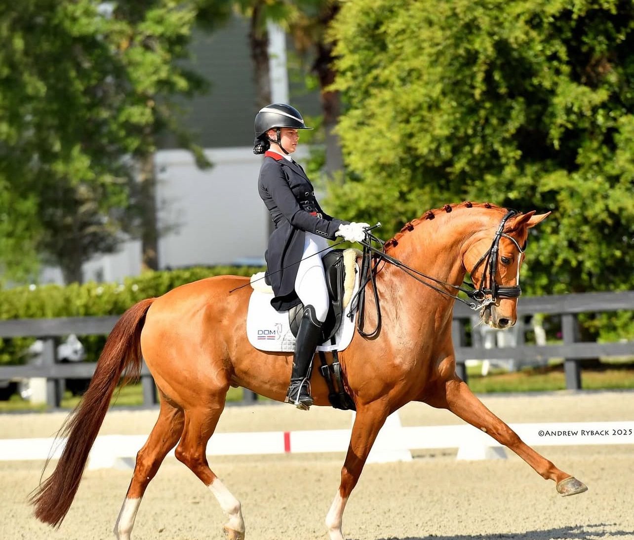 Jinete Stephanie Engstrom triunfa en Grand Prix de Ocala | AlMomento.net Jinete Stephanie Engstrom triunfa en Grand Prix de Ocala | AlMomento.net