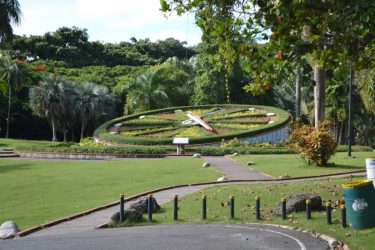 Denuncian supuesto plan para reducir área del Jardín Botánico Denuncian supuesto plan para reducir área del Jardín Botánico