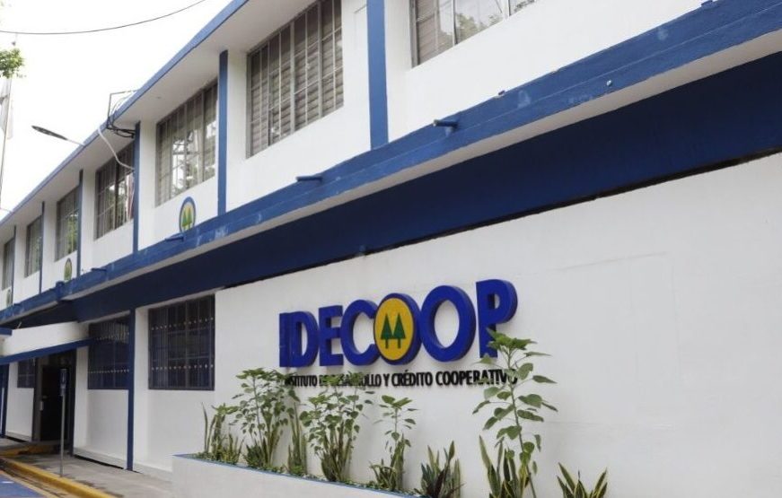 49 cooperativas manejan más de 386 mil millones de pesos | AlMomento.net 49 cooperativas manejan más de 386 mil millones de pesos | AlMomento.net
