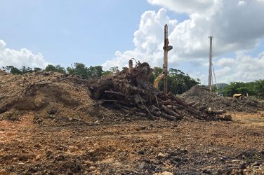 LAS TERRENAS: Autoridades paralizan proyecto inmobiliario