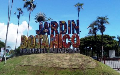 Actividades Festival de Plantas en octubre Botánico Nacional