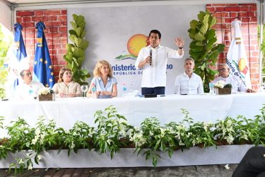 Empiezan a restablecer decenas de casas del centro histórico SD Empiezan a restablecer decenas de casas del centro histórico SD