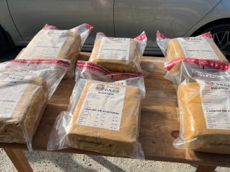 DNCD ocupa 140 paquetes de marihuana en SD y Barahona DNCD ocupa 140 paquetes de marihuana en SD y Barahona