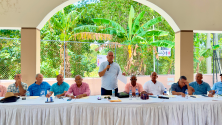 Productores de plátanos de RD analizan necesidades del sector Productores de plátanos de RD analizan necesidades del sector